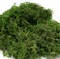 Artificial Moss, 16OZ Fake Moss for Crafts, Decorative Centerpieces, Fairy Garden, Wedding Party Decor, Faux Potted Plants, 455gr